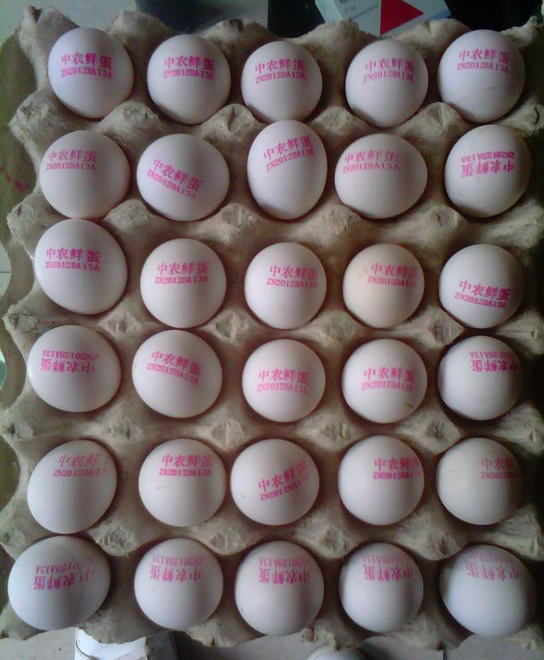 鸡蛋喷码机多少钱一台